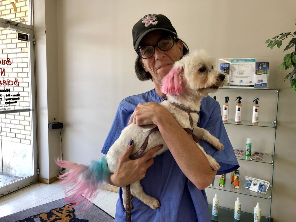 SUDS N’ SCISSORS 21 Photos 2621 N 48th St, Lincoln, Nebraska Yelp