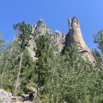 Custer State Park - Parks Near Me - Custer, South Dakota Custer State Park - Parks Near Me - Custer, South Dakota