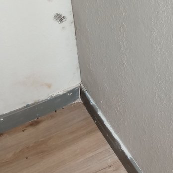 Radisson Hotel Casa Grande - Mold and dirt in corner of room. - Hotels Near Me - Casa Grande, Arizona Radisson Hotel Casa Grande - Mold and dirt in corner of room. - Hotels Near Me - Casa Grande, Arizona
