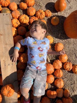 Sweet Eats Adventure Farm & Petting Zoo by null