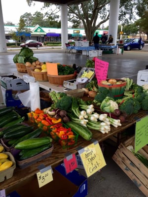 Tallahassee Farmers' Market by null