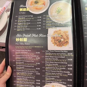 Tan Tan - Menu - Chinese Near Me - Houston, Texas