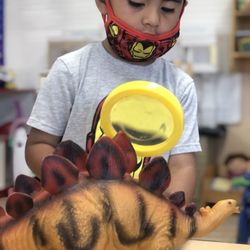 Joyland Preschool - Explore Dinosaurs @ Joyland Preschool 562-863-9960