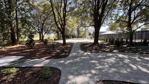 Charleston Animal Society by null