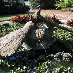 turtles turtles