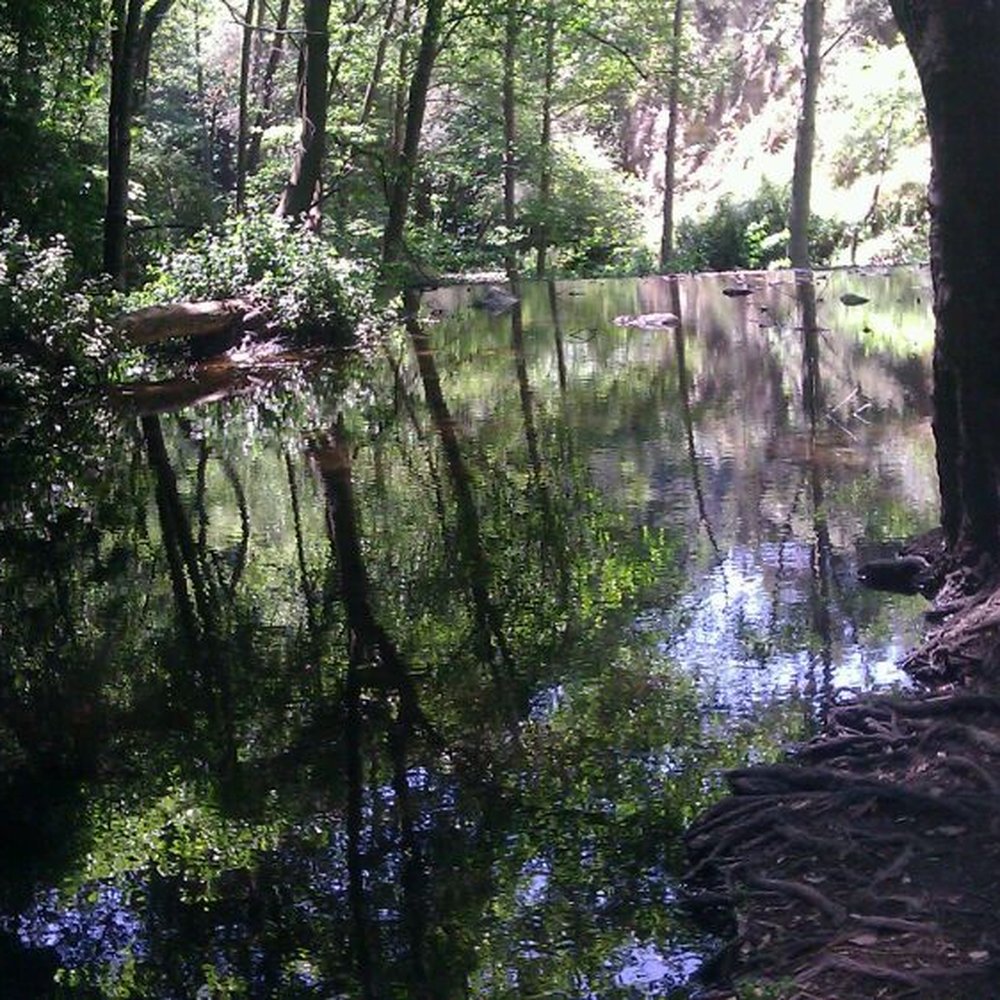 Santa Anita Canyon - Nature - Hiking Near Me Santa Anita Canyon - Nature - Hiking Near Me