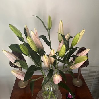 Rafael Florist - Florists Near Me - San Rafael, California Rafael Florist - Florists Near Me - San Rafael, California