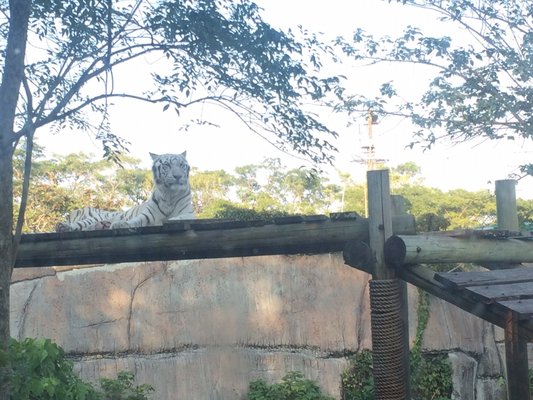 Shoushan Zoo by null