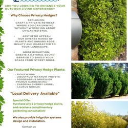 Pacific Green Nursery