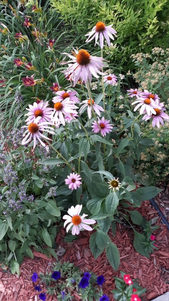 Slide of Bright Light Construction Solutions