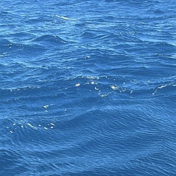 Sea Maui - Lovely water - Boat Charters Near Me - Lahaina, Hawaii Sea Maui - Lovely water - Boat Charters Near Me - Lahaina, Hawaii