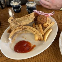 Ozark Folk Center Skillet Restaurant - Gluten free dairy free fried catfish the fries ( hush puppies not gf)