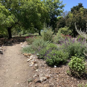 Conejo Valley Botanic Garden - Botanical Gardens Near Me - Thousand Oaks, California