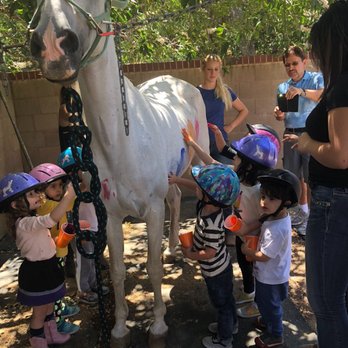 Earthquake Arabians - Amazing for Kids - Horseback Riding Near Me - Brentwood, California