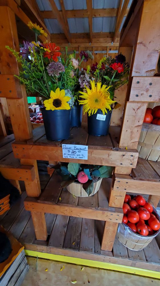 AVO Farm Market Logo