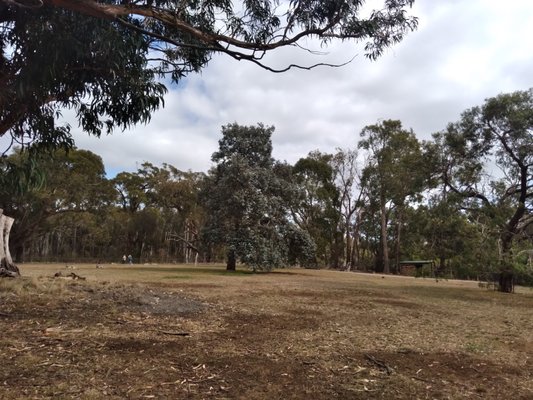 Cleland Wildlife Park by null