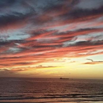 Tourist Information Amberjack - Pacific sunset - Wine Tours Near Me - Rosarito, BCN Tourist Information Amberjack - Pacific sunset - Wine Tours Near Me - Rosarito, BCN