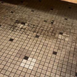 LA Fitness - Dirt/mold on the newly installed tile in the sauna.