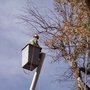 Photo of Joe's Tree Service