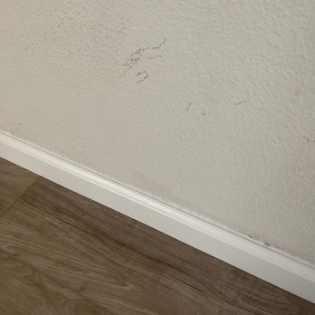 Empire Today - More scuffs - Carpet Installation Near Me