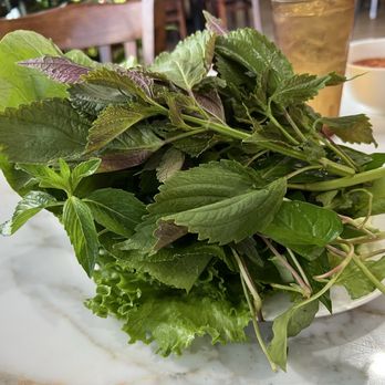 Pho Con Bo - Herbs for Bahn xeo - Vietnamese Near Me - Houston, Texas Pho Con Bo - Herbs for Bahn xeo - Vietnamese Near Me - Houston, Texas
