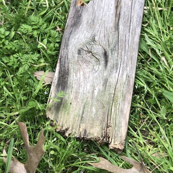 Galaxy Contractors - Left trash everywhere - Fences & Gates Near Me Galaxy Contractors - Left trash everywhere - Fences & Gates Near Me