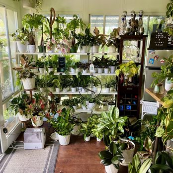 Larch Garden - Nurseries & Gardening Near Me - South San Francisco, California