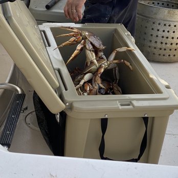 North Bay Fishing Charters - Dungeness Crab - Fishing Near Me - Bodega Bay, California