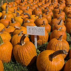 Dollinger Family Farm