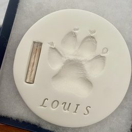 Paw print with hair vial Paw print with hair vial
