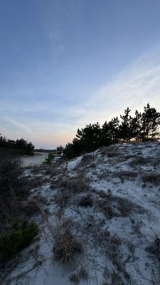 Jones Beach State Park by null