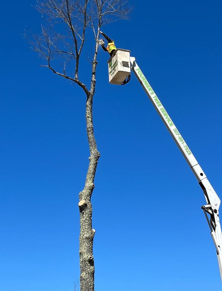 Fournier’s Tree Service - tree service in Readfield, ME