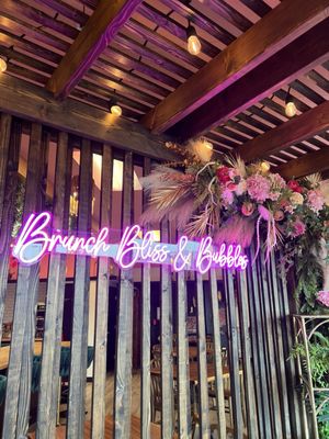 Brunch Bliss & Bubbles by null