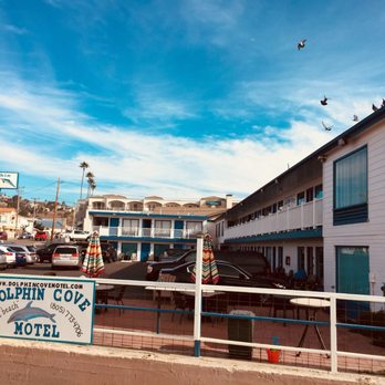 Dolphin Cove Motel 84 Photos 97 Reviews Hotels 170 Main St Pismo Beach Ca Phone Number Yelp Dolphin Cove Motel 84 Photos 97