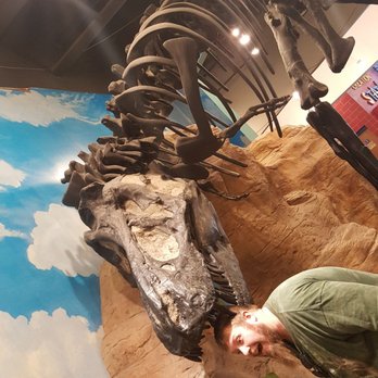 Creative Discovery Museum - Dinosaur area - Museums Near Me - Chattanooga, Tennessee