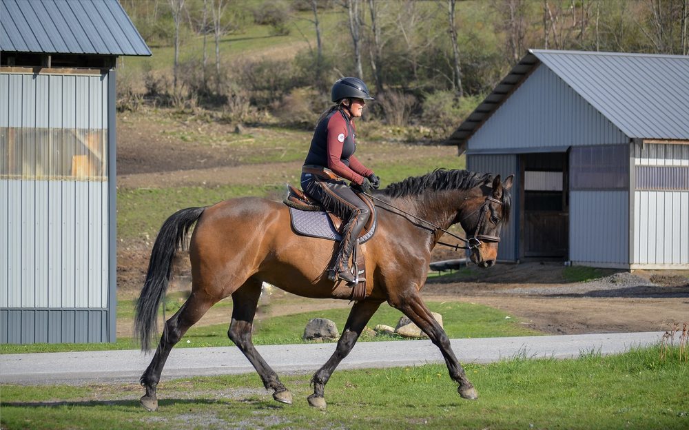 Social spots from Fairbanks Stable