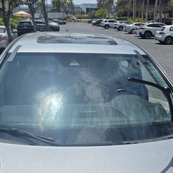 Oscar Auto Glass