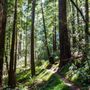 Photo of Sempervirens Fund