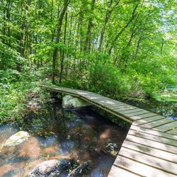 Bartlett Arboretum