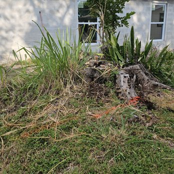 Coto's Stump Grinding Services - Tree Services Near Me Coto's Stump Grinding Services - Tree Services Near Me