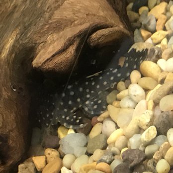 RMS Aquaculture - Local Fish Stores Near Me - Cleveland, Ohio