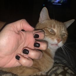 Black gel nails Black gel nails