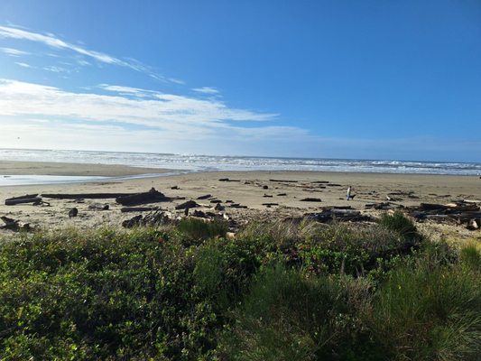 Oregon Coast Scenic Railroad - Rockaway Beach Station by null