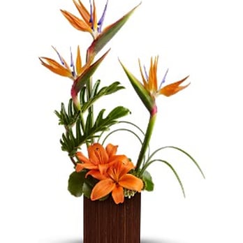 FairWater Florist - Contemporary and Tropical Floral Designs - Florists Near Me - Orlando, Florida FairWater Florist - Contemporary and Tropical Floral Designs - Florists Near Me - Orlando, Florida