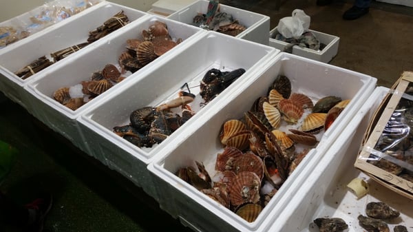 Billingsgate Market by null