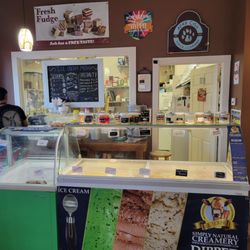 Bear City Fudge Company - Inside Counter