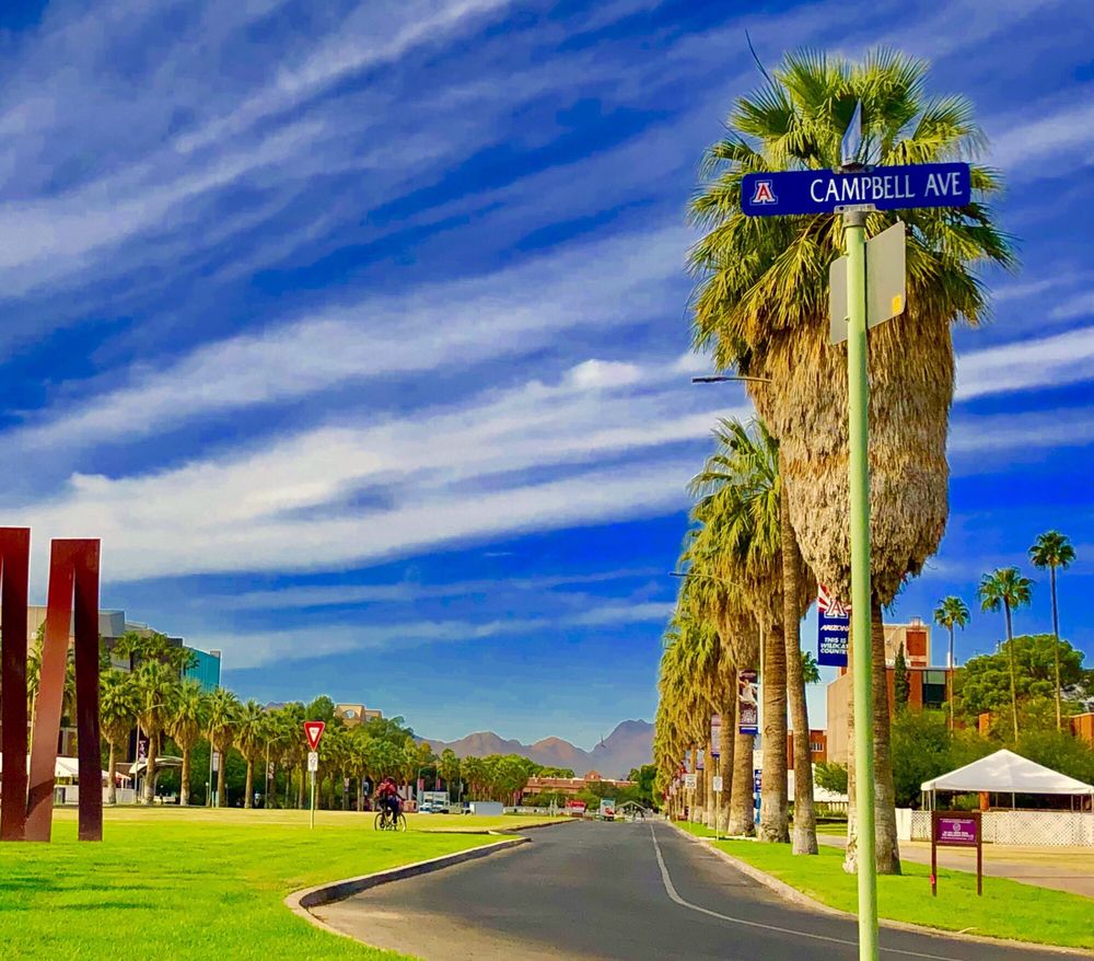 THE UNIVERSITY OF ARIZONA 180 Photos & 90 Reviews 1401 University