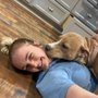 Photo of Doggone Fun Daycare and Boarding