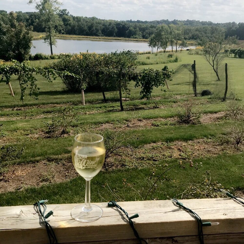 La Vida Loca Winery - a glass of wine on a fence - Wineries Near Me - Indianola, Iowa La Vida Loca Winery - a glass of wine on a fence - Wineries Near Me - Indianola, Iowa