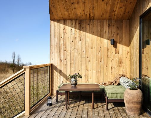 Clay at Wildflower Farms by null